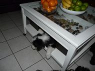 How do i get out?